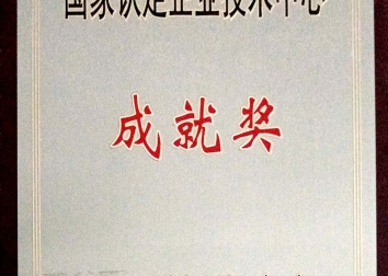 国家认定企业技术中心成就奖